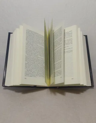 Hasta que te encuentre