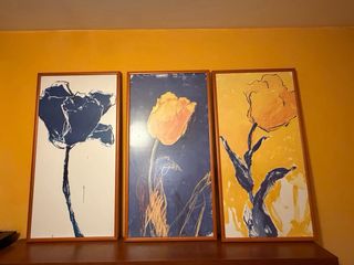 3 Cuadros Florales Decorativos