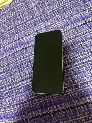 iPhone 13 Pro Max Plata