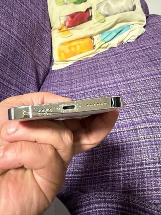 iPhone 13 Pro Max Plata