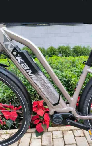 Bicicleta Eléctrica Gris