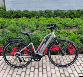 Bicicleta Eléctrica Gris