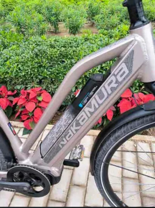 Bicicleta Eléctrica Gris