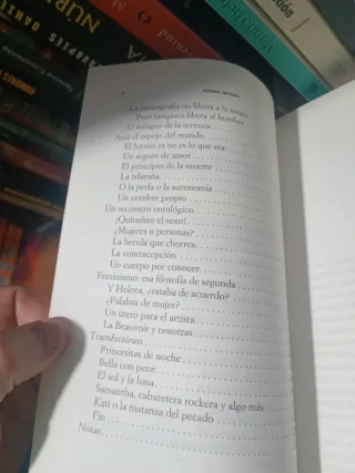 Mundo hetero: La teoría feminista de Montserrat...