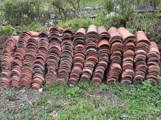 Lote 450 Tejas Árabes Rojas