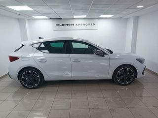 Cupra León 1.5 eTSI DSG 110 kW (150 CV)