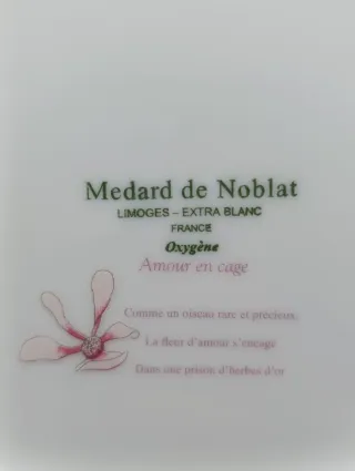 Set Bandejas Porcelana Limoges Doradas