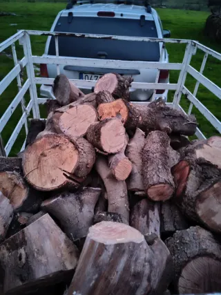 Leña de encina ideal para estufas de interior