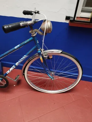 BICICLETA DE PASEO