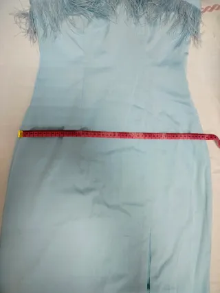 Vestido largo azul con plumas