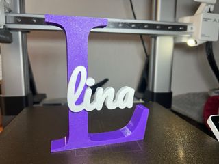 Nome personalizzato 3D - Lettera iniziale grande