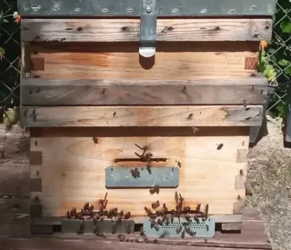 Huerto ecológico para chalet – Diseño y montaje.