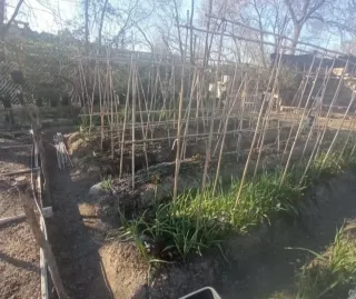 Huerto ecológico para chalet – Diseño y montaje.