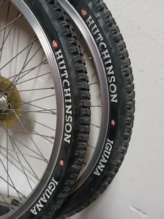 Cubiertas 26 hutchinson Iguana