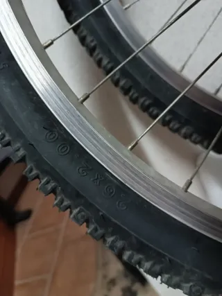 Cubiertas 26 hutchinson Iguana