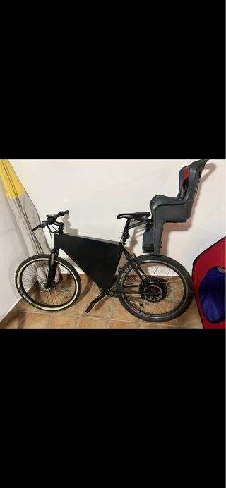 Bicicleta Eléctrica 100%