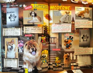 Album Amici Cucciolotti 2019