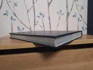 D&D Monster Manual 5.5 (2025) Alt Cover