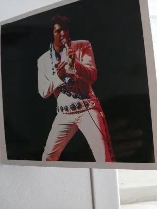 Elvis Now RCA 2 cds Elvis presley FTD