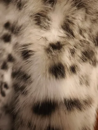 Abrigo pelo estampado leopardo talla L