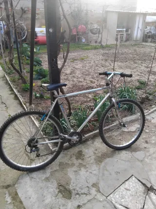 Bicicleta de Montaña