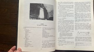 Aurelio Sagaseta. Órganos de navarra