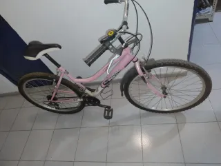 Bicicleta Montaña 26 JL Wenti Vereda Rosa