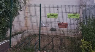 Valla Metálica Verde 4x3m