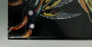 Bestiario de Tolkien