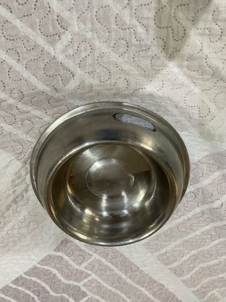 Bozal Zeus Alpha Correa Corta Daytona