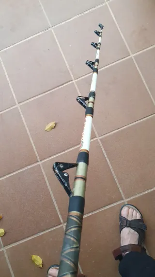 Caña de pesca Brumeo