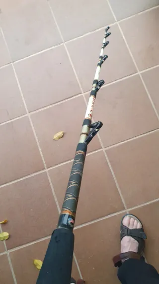 Caña de pesca Brumeo