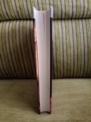 AO,  EL  ÚLTIMO  CAVERNARIO