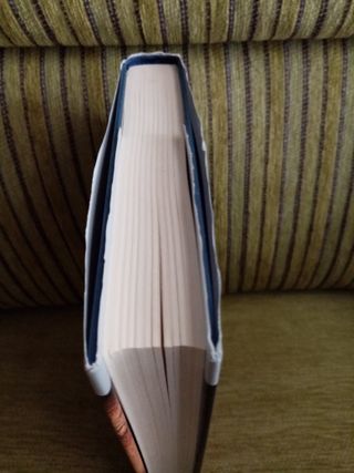 AO,  EL  ÚLTIMO  CAVERNARIO