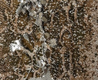 Top lentejuelas nuevo con etiquetas