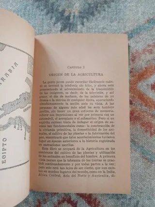 La panera de Egipto. La Edad de Oro.