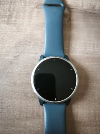 Garmin Venu 2 Smartwatch