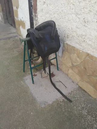 Montura Portuguesa Negra