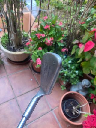 Ping Eye2 Red Eye Wedge