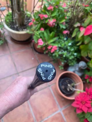 Ping Eye2 Red Eye Wedge