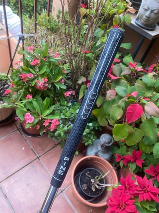 Ping Eye2 Red Eye Wedge