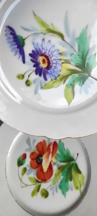 2 Piatti Decorati Fiori 1890