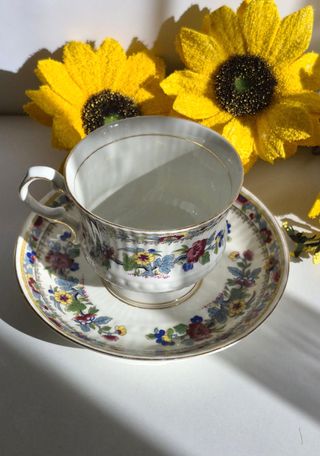 Taza y platillo de porcelana floral