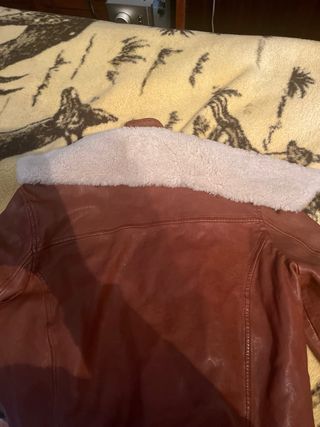 Cazadora aviador Redskins marrón