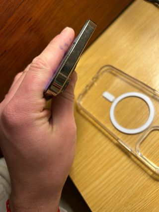 iPhone 13 Pro Apple Dorado/Plateado