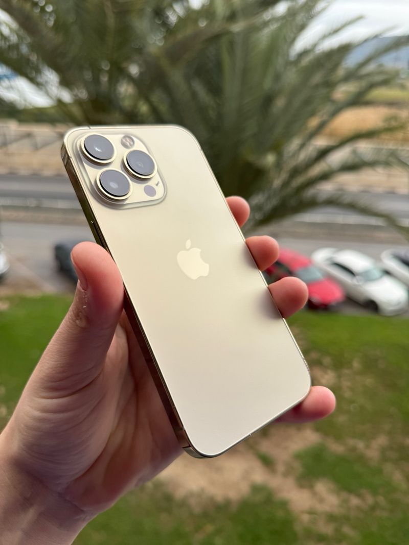 iPhone 13 Pro 256GB - 100% Batería