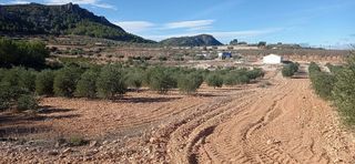Terreno en venta en Jumilla
