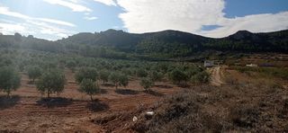 Terreno en venta en Jumilla