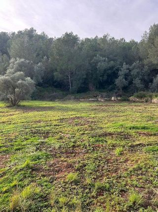 Terreno en venta en Urbanizaciones- Santa Ana- Las Estrellas en Gandia