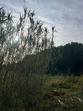 Terreno en venta en Urbanizaciones- Santa Ana- Las Estrellas en Gandia